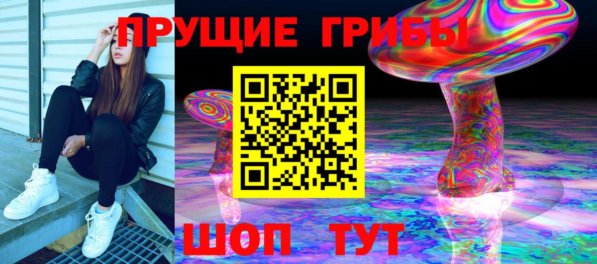 купить наркотики цена  Вход с VPN  Ачинск  Галлюциногенные грибы Psilocybe  Галлюциногенные грибы прущие грибы 